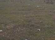 Satılır  torpaq 200 sot, Digah q., photo 4 from 4
