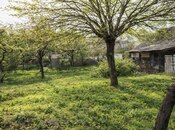 Torpaq - Zaqatala - 16 sot