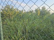 Продаётся  участок 0.5 сот, Хачмазский р., photo 3 from 3