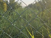 Продаётся  участок 0.5 сот, Хачмазский р., photo 2 from 3