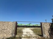 Объект - пос. Дюбенди - 10000 м²