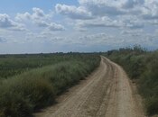 Продаётся  участок 257 сот, photo 6 from 8