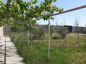 İcarəyə verilir 7 otaqlı həyət evi/bağ evi 400 m², Albalılıq q., photo 7 from 8