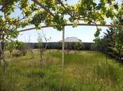 İcarəyə verilir 7 otaqlı həyət evi/bağ evi 400 m², Albalılıq q., photo 6 from 8