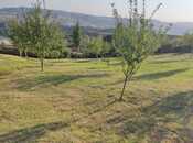 Torpaq - İsmayıllı - 18 sot