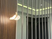 5 otaqlı yeni tikili - Ağ şəhər q. - 210 m²