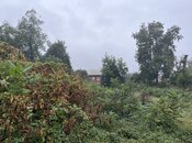 Torpaq - Lənkəran - 48.6 sot