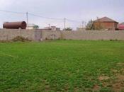 Torpaq - Buzovna q. - 10 sot