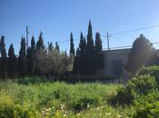 2 otaqlı həyət evi/bağ evi - Qala q. - 40 m²