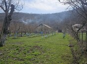Участок - Гусар - 7.5 сот