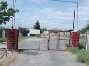 Torpaq - Salyan - 15 sot