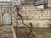 4 otaqlı həyət evi/bağ evi - M.Ə.Rəsulzadə q. - 88 m²