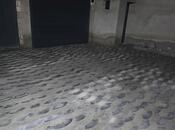 3 otaqlı həyət evi/bağ evi - Yeni Ramana q. - 113 m²