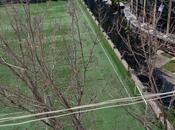 İcarəyə verilir 2 otaqlı köhnə tikili 50 m², Xalqlar Dostluğu m., photo 7 from 8