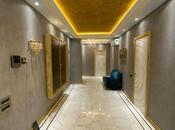 Satılır 9 otaqlı yeni tikili 450 m², Gənclik m., photo 4 from 8