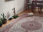 İcarəyə verilir 2 otaqlı yeni tikili 65 m², Qara Qarayev m., photo 4 from 8