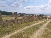 Torpaq - Şamaxı - 6 sot