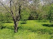 Torpaq - Qəbələ - 30 sot