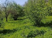 Torpaq - Qəbələ - 30 sot