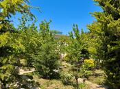 Satılır 6 otaqlı həyət evi/bağ evi 250 m², Buzovna q., photo 7 from 8