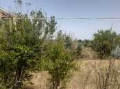 Satılır  torpaq 25 sot, Bilgəh q., photo 6 from 6