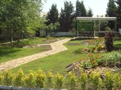 Obyekt - Novxanı q. - 4000 m²