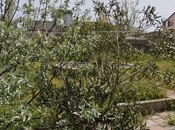 5 otaqlı həyət evi/bağ evi - Hövsan q. - 162 m²
