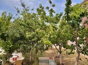 7 otaqlı həyət evi/bağ evi - Mərdəkan q. - 450 m²