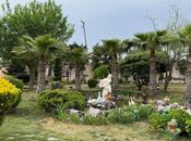 Satılır 5 otaqlı həyət evi/bağ evi 380 m², Mərdəkan q., photo 5 from 8