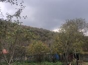 Участок - Габала - 4 сот