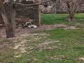 Satılır  torpaq 9 sot, Saray q., photo 8 from 8