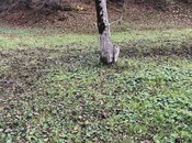 Продаётся  участок 10 сот, photo 6 from 8
