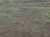 Участок - Гусар - 180 сот