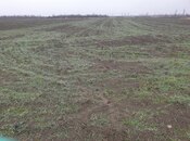 Участок - Гусар - 180 сот
