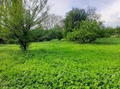 Участок - Исмаиллы - 60 сот