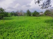 Участок - Исмаиллы - 60 сот