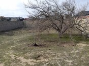 Участок - пос. Бильгях - 11.5 сот