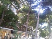 2 otaqlı köhnə tikili - Azadlıq Prospekti m. - 65 m²