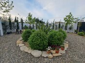 Сдаётся 4-комн. дом/дача 250 м², пос. Дюбенди, photo 5 from 8