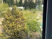 İcarəyə verilir 5 otaqlı həyət evi/bağ evi 260 m², Nardaran q., photo 7 from 8