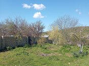 Torpaq - Şamaxı - 10 sot