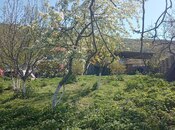 Torpaq - Şamaxı - 10 sot