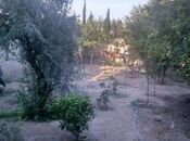 3 otaqlı həyət evi/bağ evi - Şüvəlan q. - 70 m²