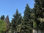 Участок - пос. Мардакан - 8 сот