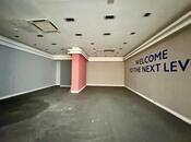 1-комн. офис - м. Шах Исмаил Хатаи - 262 м²