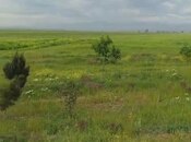 Участок - Геранбой - 5500 сот