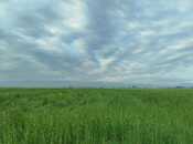 Участок - Геранбой - 5500 сот