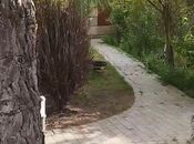 Участок - Сабаильский р. - 2 сот