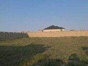 Участок - пос. Шувеляны - 12 сот