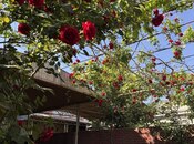 5 otaqlı həyət evi/bağ evi - Sulutəpə q. - 265 m²